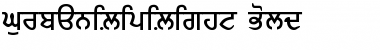 Download GurbaniLipiLight Bold Font Title Preview
