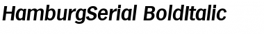 Download HamburgSerial BoldItalic Font Title Preview