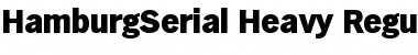 Download HamburgSerial-Heavy Regular Font Title Preview