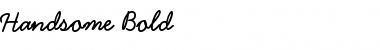 Download Handsome Bold Font Title Preview
