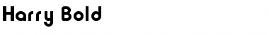 Download Harry Bold Font Title Preview