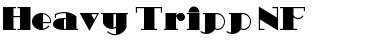 Download Heavy Tripp NF Regular Font Title Preview