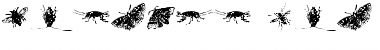 Download insects one Regular Font Title Preview
