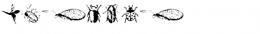 Download Insects Regular Font Title Preview