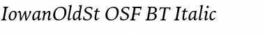 Download IowanOldSt OSF BT Italic Font Title Preview