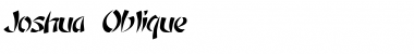Download Joshua Oblique Font Title Preview