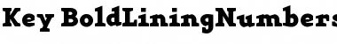 Download Key Bold Font Title Preview