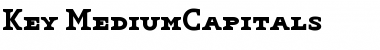 Download Key Medium Font Title Preview
