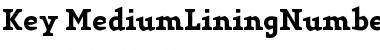 Download Key Medium Font Title Preview