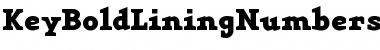 Download KeyBoldLiningNumbers Regular Font Title Preview