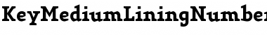 Download KeyMediumLiningNumbers Regular Font Title Preview