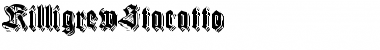 Download KilligrewStacatto Regular Font Title Preview