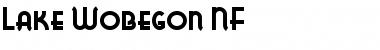 Download Lake Wobegon NF Regular Font