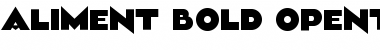 Download Aliment Bold Font Title Preview
