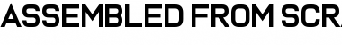 Download Assembled From Scratch Regular Font Title Preview