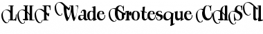 Download LHF Wade Grotesque CASUAL SWASH Regular Font Title Preview