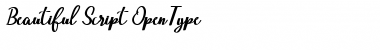 Download Beautiful Script script Font Title Preview