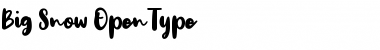 Download Big Snow Big Snow Font Title Preview