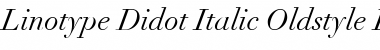 Download Linotype Didot Italic Font Title Preview