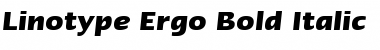 Download LTErgo BoldItalic Regular Font Title Preview