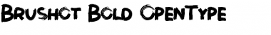 Download Brushot Bold Font Title Preview