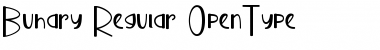 Download Buhary Regular Font Title Preview