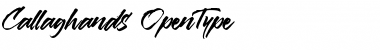 Download Callaghands Regular Font Title Preview