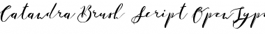 Download Catandra Brush Script Regular Font Title Preview