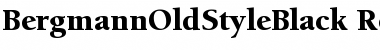Download BergmannOldStyleBlack Regular Font Title Preview