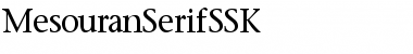 Download MesouranSerifSSK Regular Font Title Preview