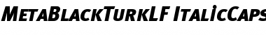 Download MetaBlackTurkLF Medium Font