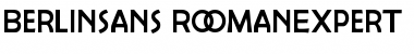 Download Berlinsans RomanExpert Font Title Preview