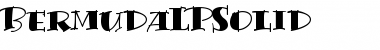 Download BermudaLPSolid Roman Font Title Preview