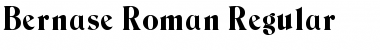 Download Bernase Roman Regular Font Title Preview