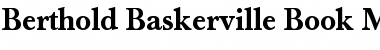Download Berthold Baskerville Book Bold Font Title Preview
