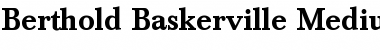 Download Berthold Baskerville Bold Font Title Preview
