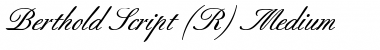 Download Berthold Script BQ Regular Font Title Preview