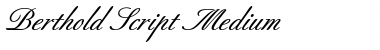 Download Berthold Script ItalicBold Font
