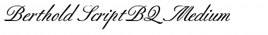 Download Berthold Script BQ Regular Font Title Preview
