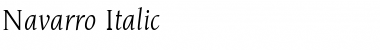 Download Navarro Italic Font Title Preview