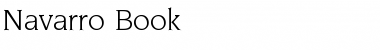 Download Navarro Book Font Title Preview