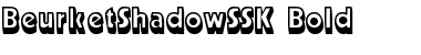 Download BeurketShadowSSK Bold Font Title Preview