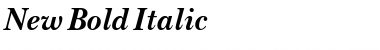 Download New Bold Italic Font