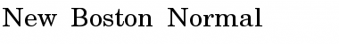 Download New Boston Normal Font Title Preview