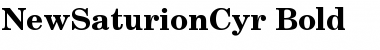 Download NewSaturionCyr Bold Font