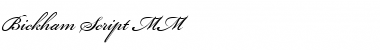 Download Bickham Script MM Regular Font Title Preview