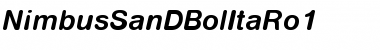 Download NimbusSanDBolItaRo1 Regular Font