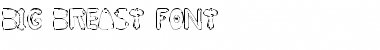 BIG BREAST FONT Regular Font Title Preview BIG BREAST FONT Regular Font Title Preview