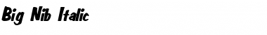 Download Big Nib Italic Font Title Preview