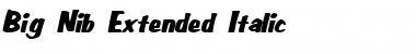 Download Big Nib-Extended Italic Font Title Preview
